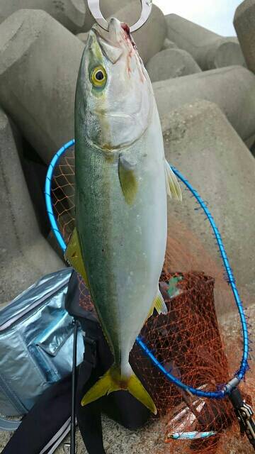 ビッグバッカーでツバス