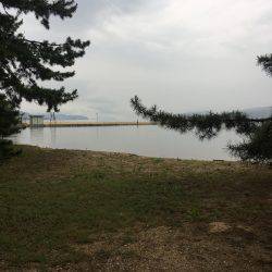 キス。マゴチ釣れず