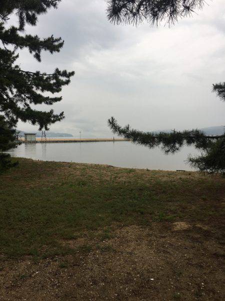 キス。マゴチ釣れず