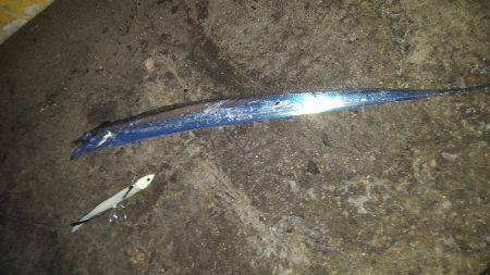 やっぱりMNGは最強ですわ!