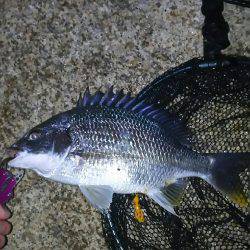 短時間チニング