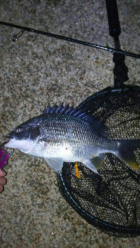 短時間チニング