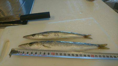 もう少しで五目