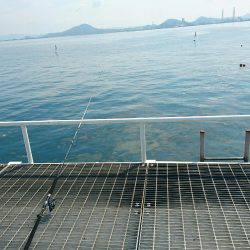 今日も小サバゲーム