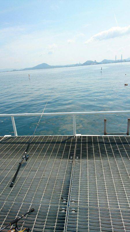 今日も小サバゲーム