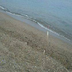 ファミリーキャンプ！