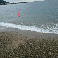 ファミリーキャンプ！2日目