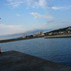 七夕フィッシング！ 願い事叶うのか！？