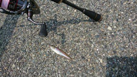 淡路島でキスゲーム