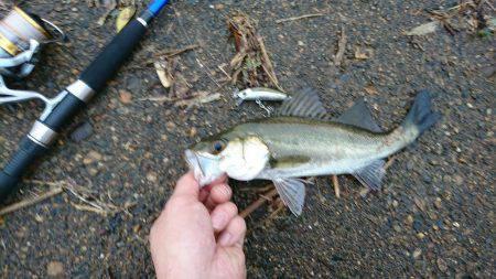 加古川潮止め~ケーソン付近