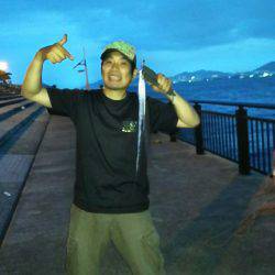 夏タチウオ調査