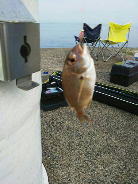 海水浴の前に釣り
