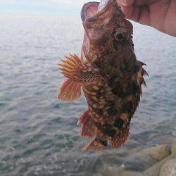 色々サンデーフィッシング