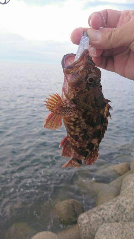 色々サンデーフィッシング