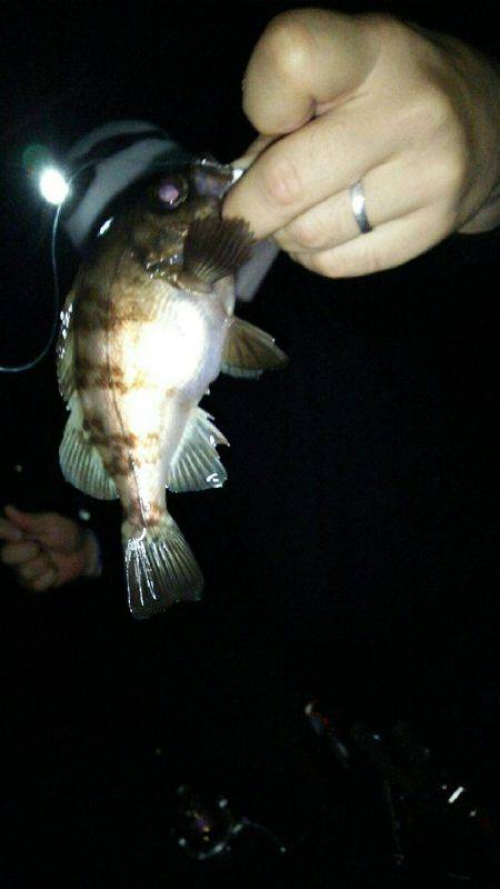 友人達とラスト？メバリング