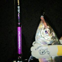 放置styleアジング(笑)