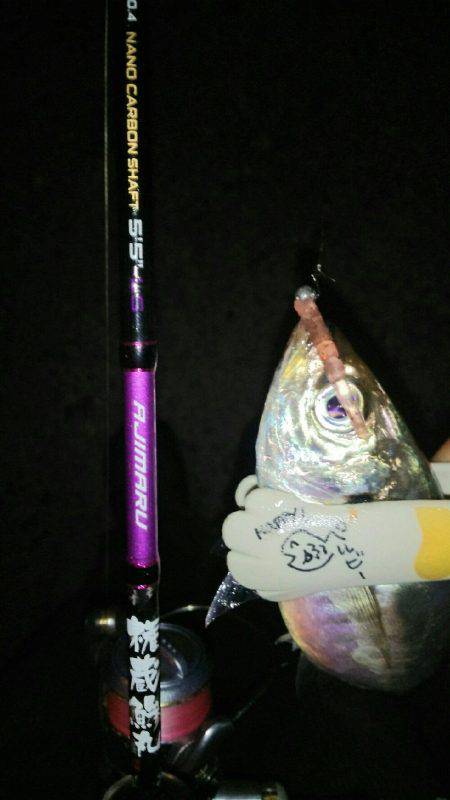 放置styleアジング(笑)