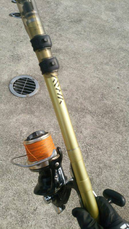 久々のキス釣り