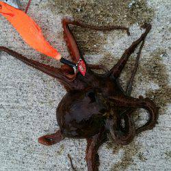 灼熱のデイオクトパッシング