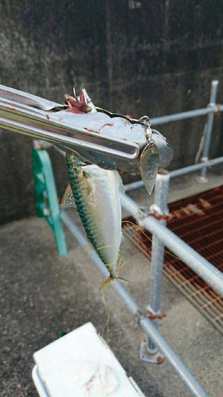 小物釣り