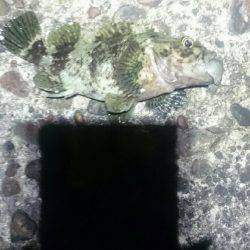 トルクフルでした。