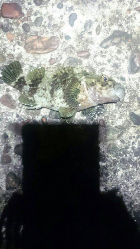 トルクフルでした。