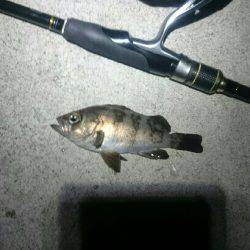 暑い。かなり暑い。