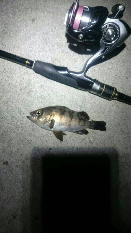 暑い。かなり暑い。