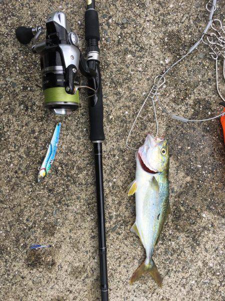 ツバス低活性？時合い不明確…