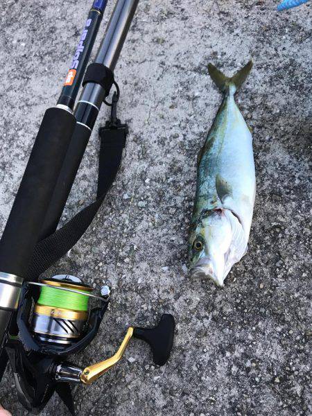 タコのちツバス