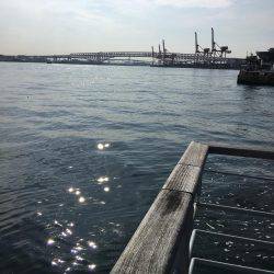 ショアジギング