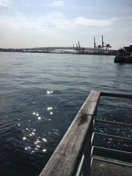 ショアジギング