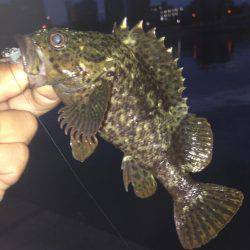 久しぶりに朝まで行って来ました！！