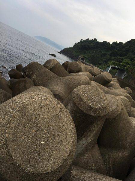 キジハタシーズン到来