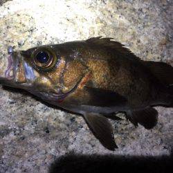 爆風ライトゲーム