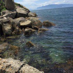 家島での、磯釣り