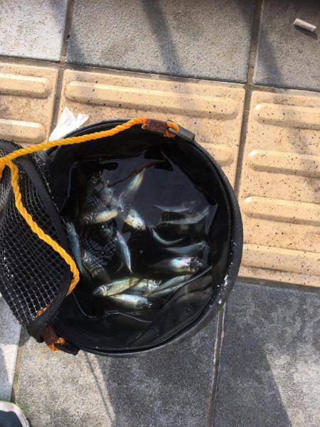 ファミリーフィッシング