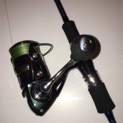 サビキ五目釣り&マイカ釣り