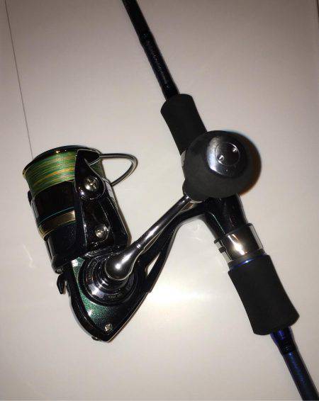 サビキ五目釣り&マイカ釣り