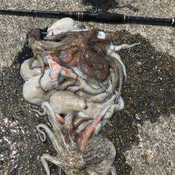 夜勤前にちょいと