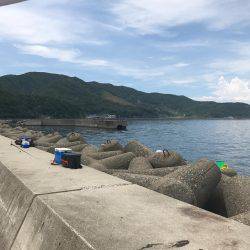泉南ランガン❗️夏イカのはしり
