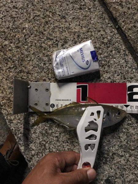 久々のアジング！