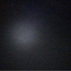 風が収まり爆釣モードに！