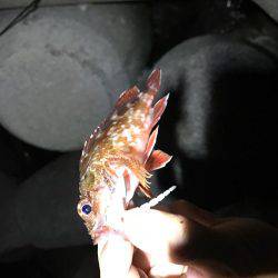 ライトゲームで…