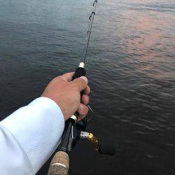 サビキにしたのに！