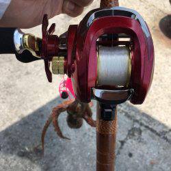 昼休30分タコ釣り!!