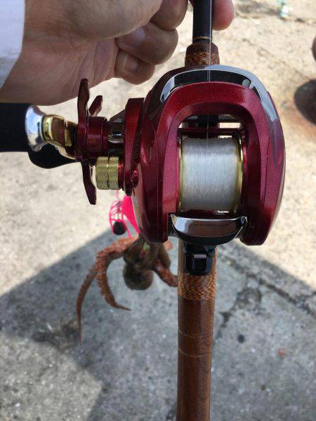 昼休30分タコ釣り!!