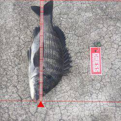 40オーバー中々こなーーい