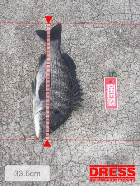 40オーバー中々こなーーい