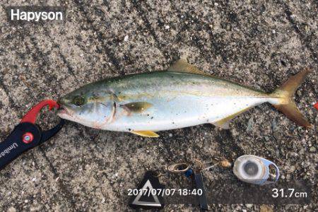 夕まずめにもツバス反応あり+α